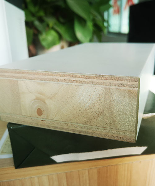 批發(fā)定制室內(nèi)莫蘭迪水性漆木門